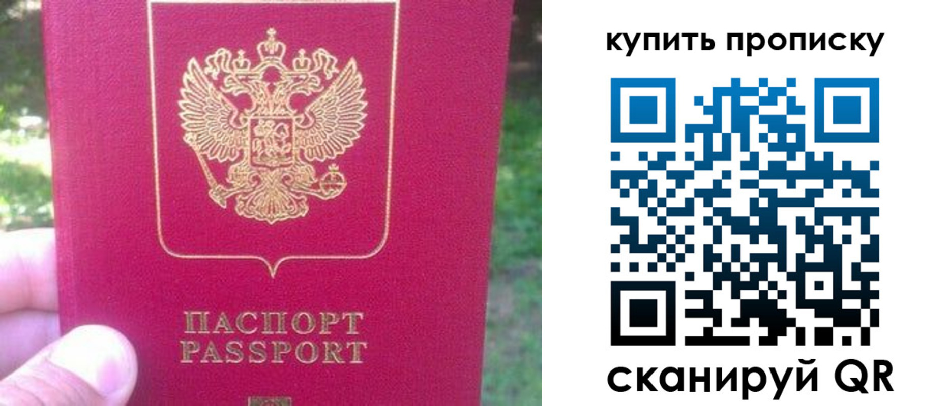 временная регистрация для школы в Кингисеппе