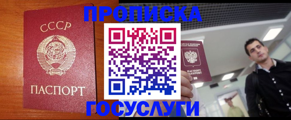 регистрация в Кингисеппе